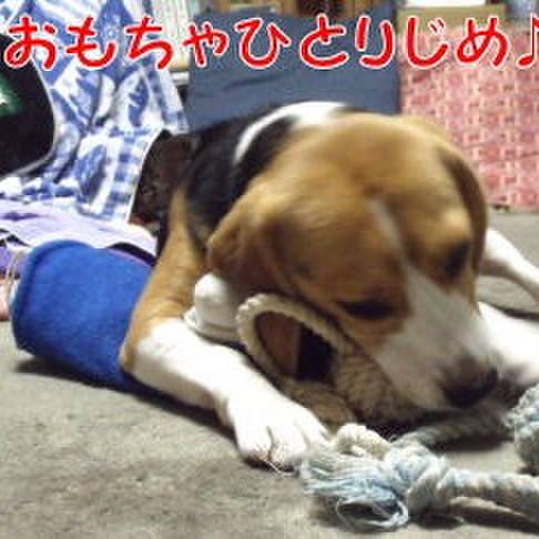 53f7deef 7119 4aec a2a6 ef574c82891b 1698971088845