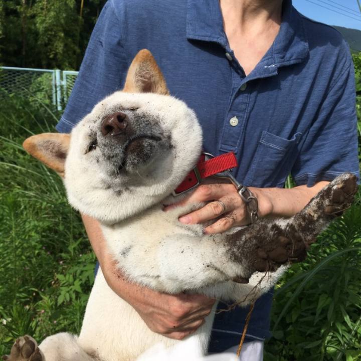 53f7f095 b0f3 43e9 8a20 91c9a21d991d 1530399643702