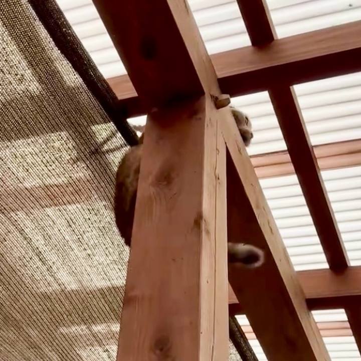 53f7f477 023a 4097 b028 9b2bf8b6b72a 1771763340212