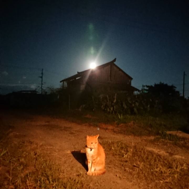 53f81b7f 265b 4cf1 a8e0 80120389dcd7 1568368922797