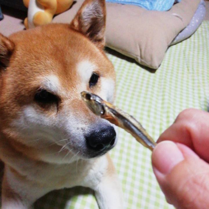 53f81f58 2684 4eaa ae3c 109a69c6b486 1660707350521