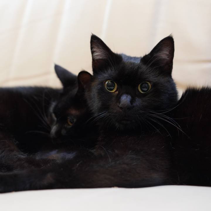 53f89347 9987 4b84 af73 8a7a86d045b2 1630242994690