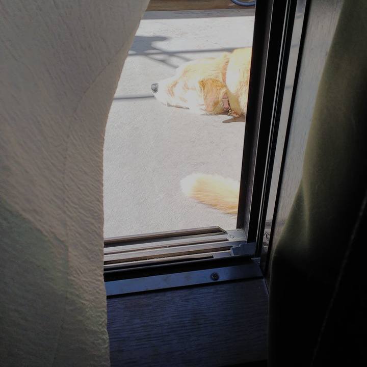 53f894da d21f 458a bab0 4e2fcea7f0a9 1554077375654