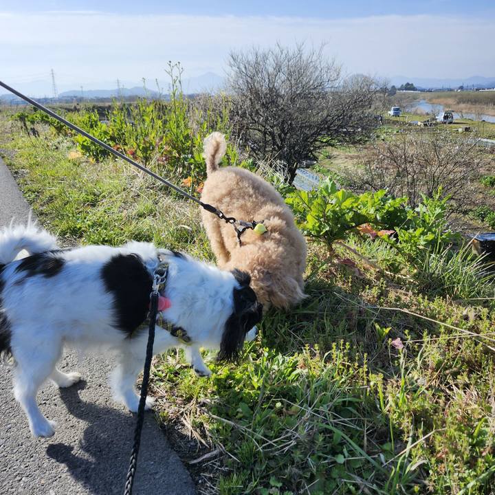 53f8b146 9c4f 4bdf b3d3 19d260189ec6 1773990933439