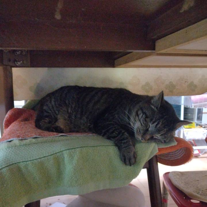 53f8e277 02dd 43c4 99df 318cb63ab71a 1708516369411