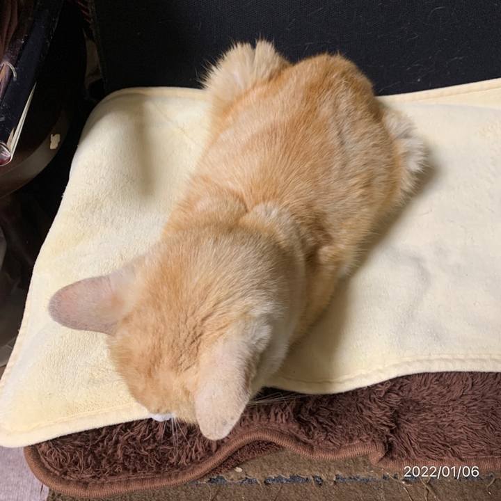 53f8eb42 8643 49e6 a290 f947001c35a9 1641470930084