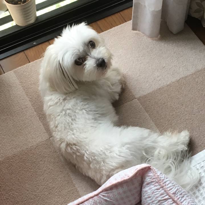 53f8fe68 690e 48d6 a1c5 17b1e7a90b47 1531441531643