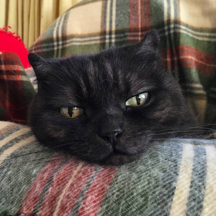 53f94aa5 07cb 4ba2 95f1 254e04bac798 1525455586328