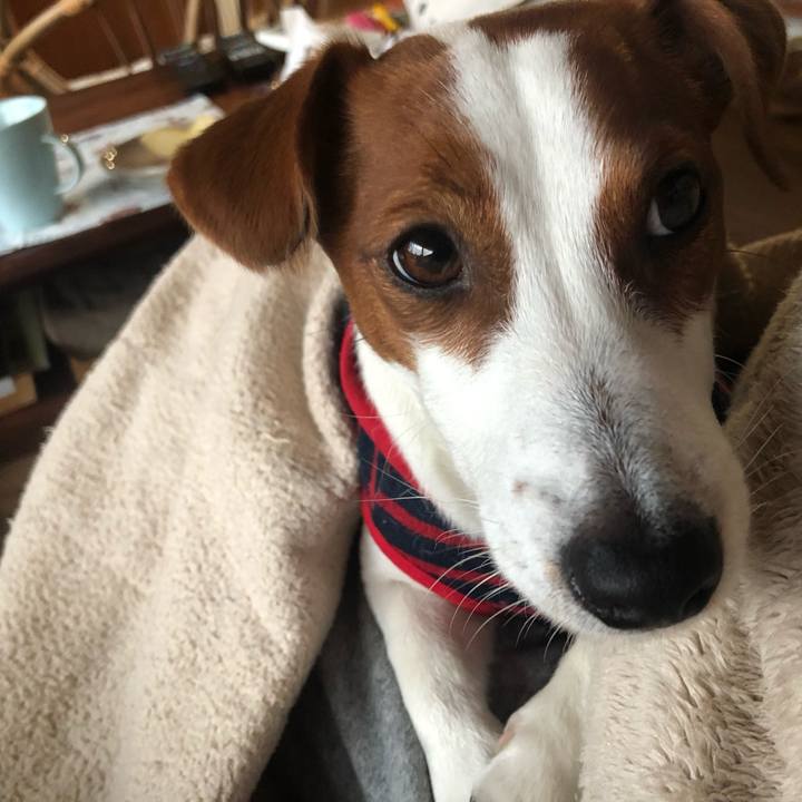 53f99d6a e7a2 4ea0 b9f8 eb5656163479 1550820572575