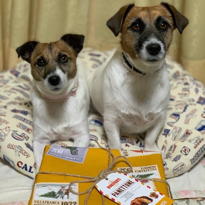 53f9e1c3 2acd 4bd6 bb64 214480afaffd 1573906419458