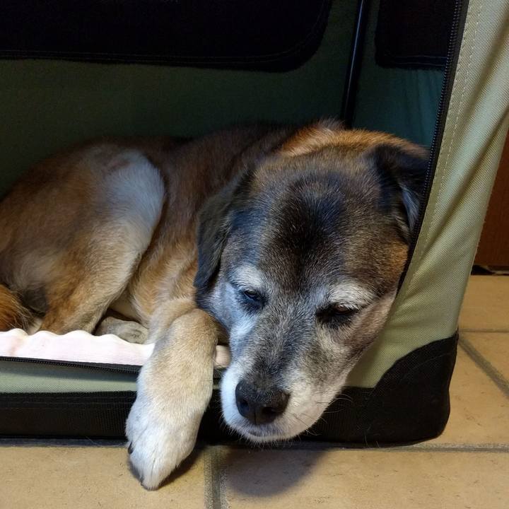 53f9f19a 44d3 4579 98d2 76a20b68aad3 1556258333322