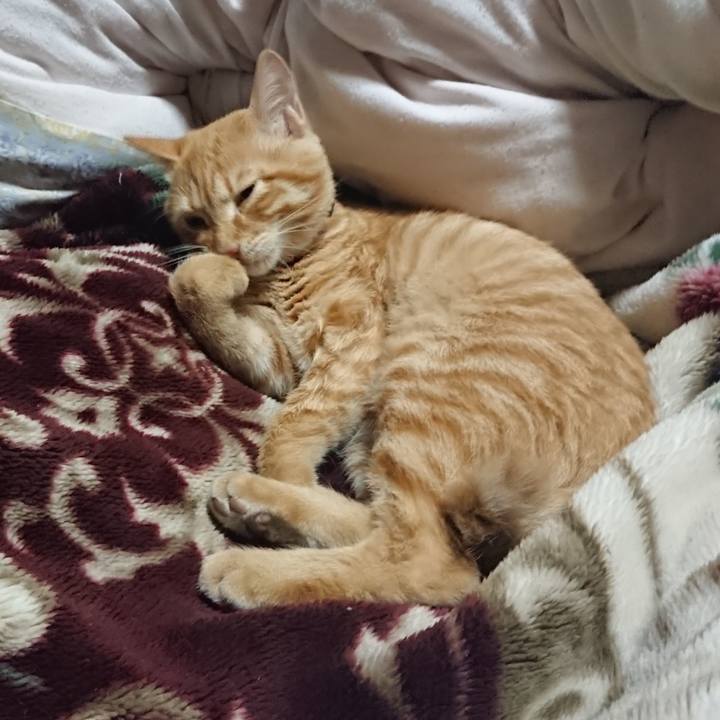 53fa0ed0 5a63 487d 8602 ed5e0b423e81 1635509472294