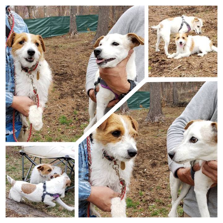 53fa33a2 2a6a 4e7a bbfb 8d2c132f0979 1675118164434