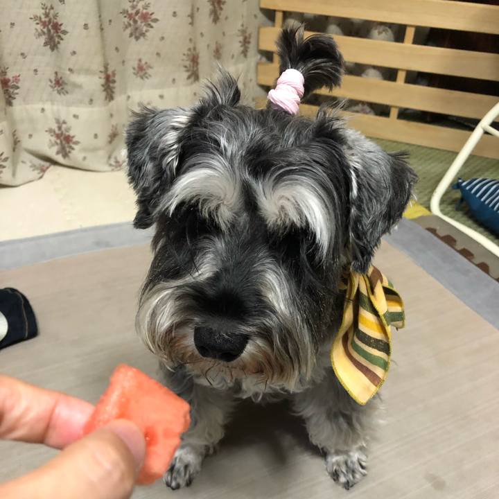 53fa84ba dace 4658 aec2 05b461efa32c 1629549382541