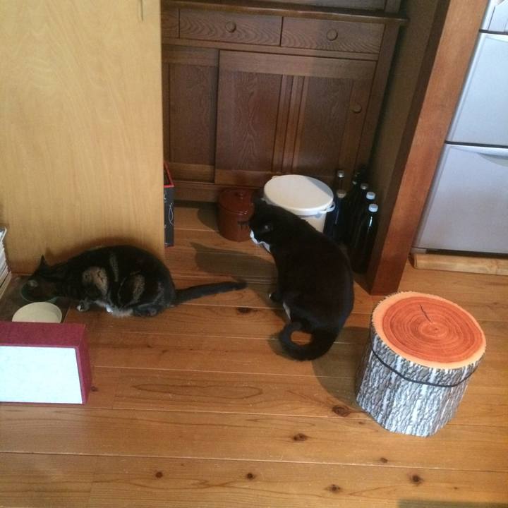 53fa8773 c930 49bb 8f68 92e3bb129c3f 1521846416245