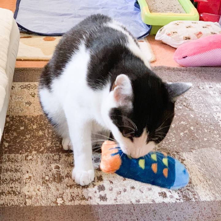 53fa8ca7 980b 4818 9a40 18c7ce6b13c3 1567044086226