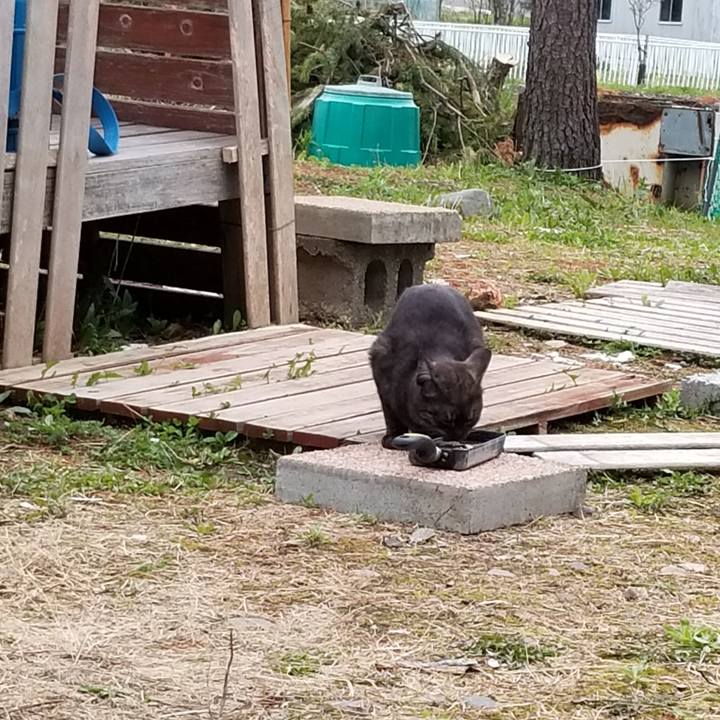 53faa70f 083a 44ac 82d2 95dc21c81e74 1589540822171