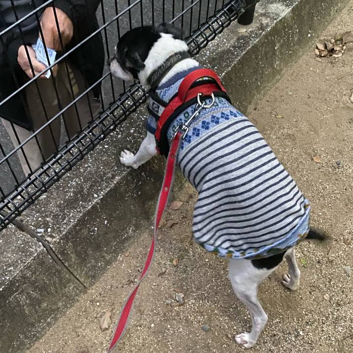 53faf63d eb87 4df5 8a50 3e6707def936 1574374337775