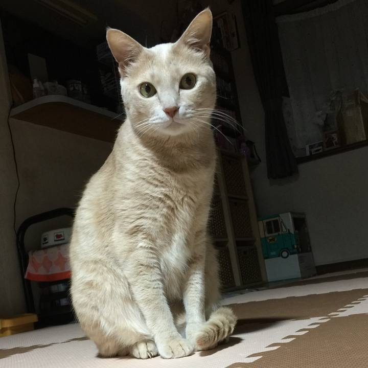 53fafcb4 b32d 4a64 812d eb46a50c4852 1547727050692