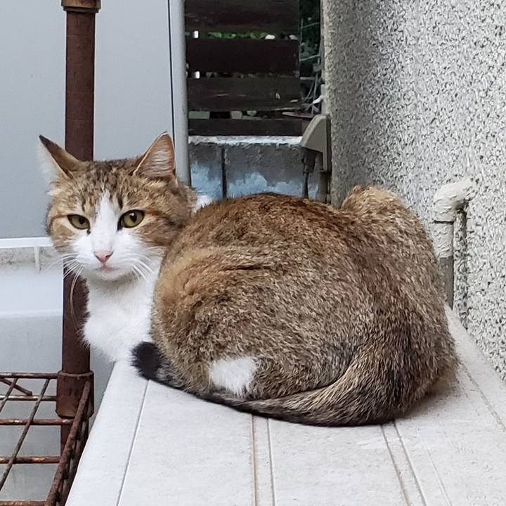 53fb30c7 8244 42e8 9189 14db6bfcec0b 1685222092242