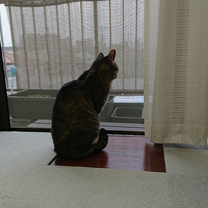 53fb3915 3504 48f1 a0e1 5a460789fdc2 1623661086765