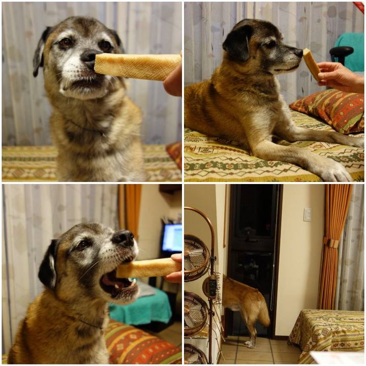 53fb8483 d35c 48f2 870a e9bb13de228d 1614473811108