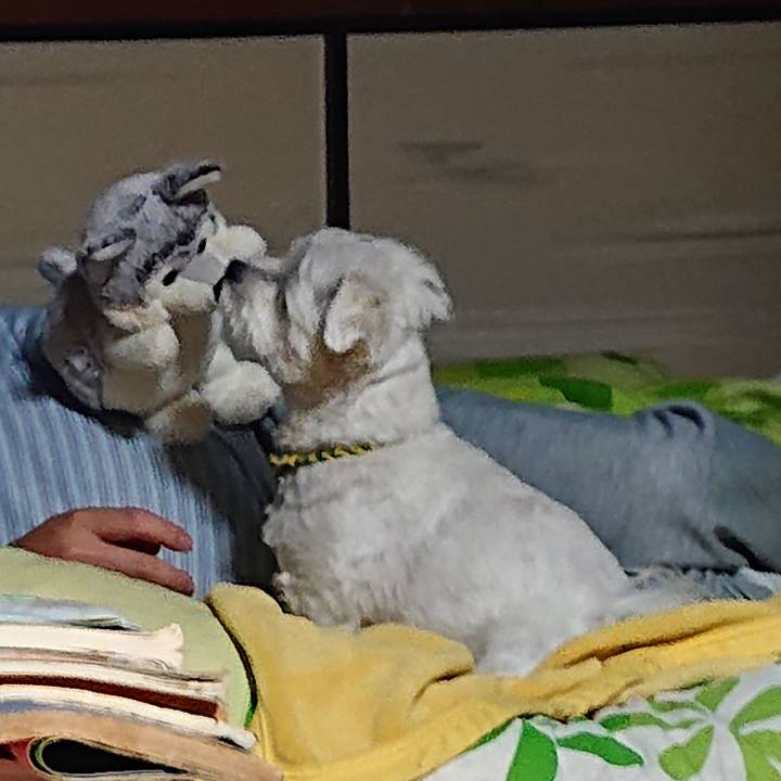 53fb86f2 da1e 4a0c 9828 d778f4cdfdbd 1589979361861