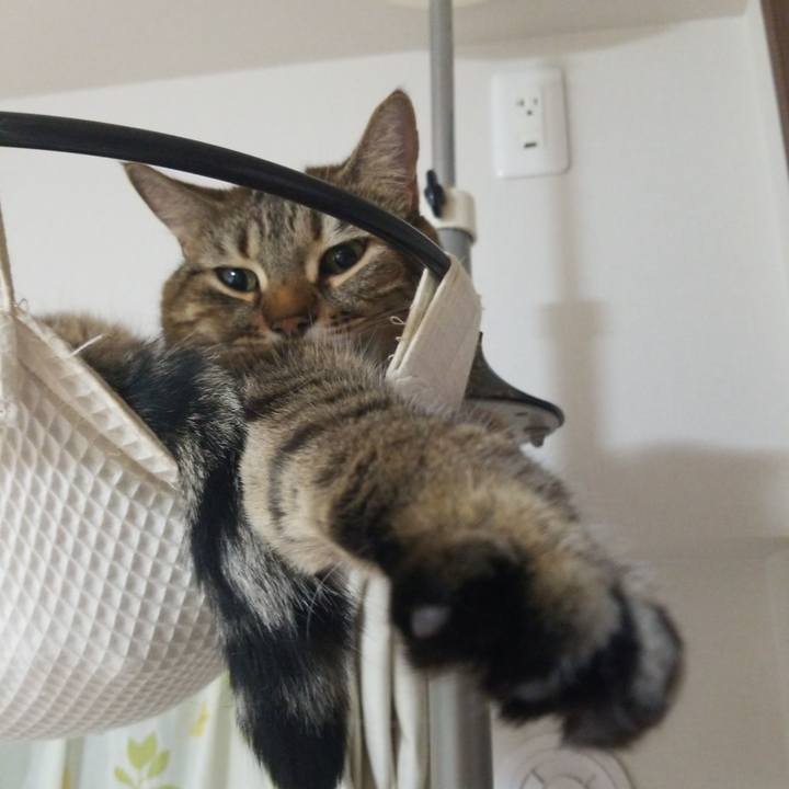 53fb9978 9a22 40be bda9 1d1960136779 1580246470078