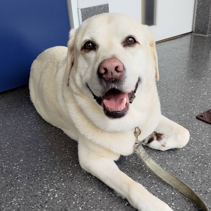 53fbb62f a771 4bfa a25b 9ac25c43e04a 1718512976414