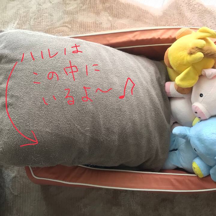 53fbfc89 0f9f 4326 8e4b 0e6b5f7c8aa6 1529727419041