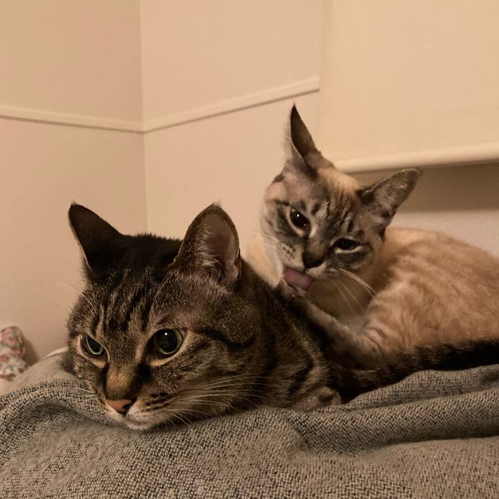 53fc383f 1fe7 41f7 b4b7 21455fc235ee 1742389372514