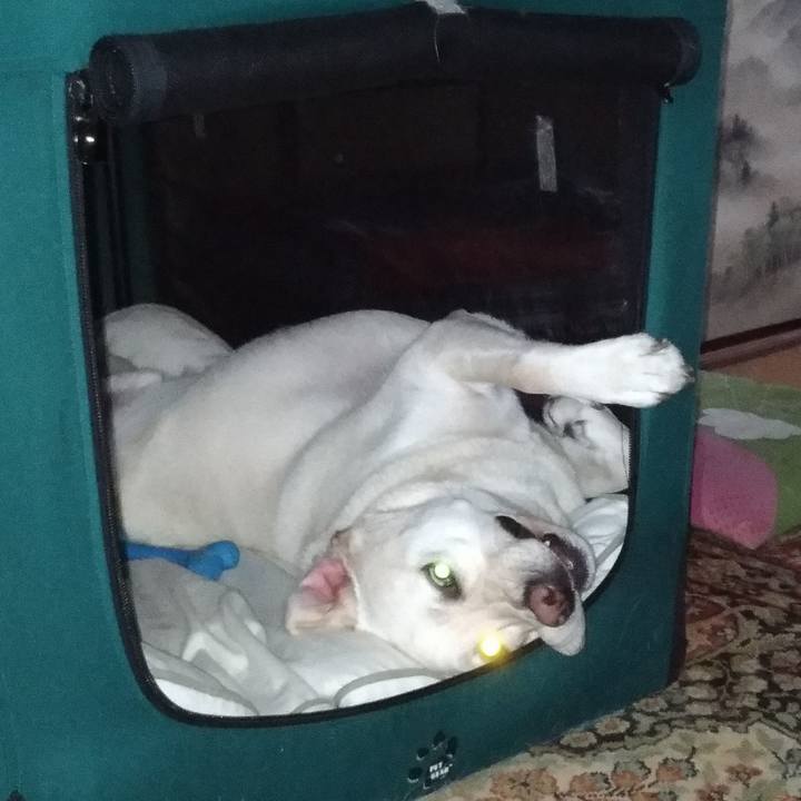 53fc3e44 f207 4a3b 874f c1fdc92d3ba3 1529561677625