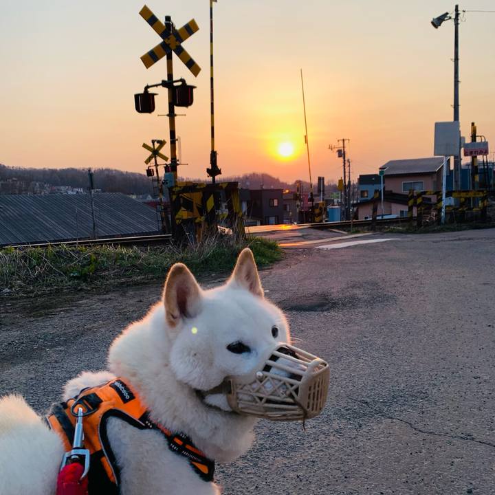 53fc447b c73c 4911 859d 12859a86d9c8 1650404170304