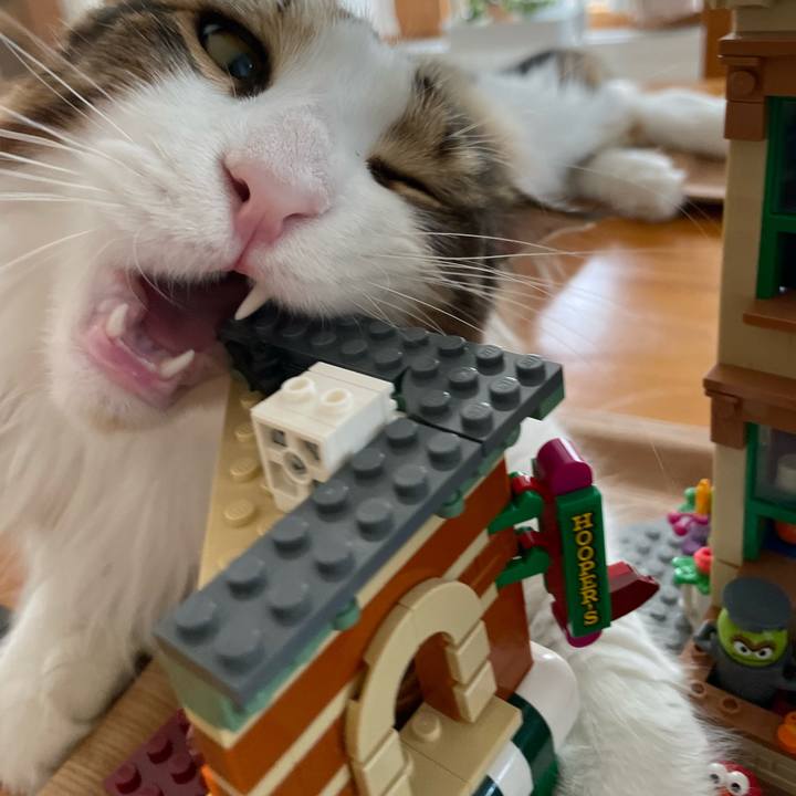 53fc5355 feac 45fc 9b11 64198be8b9a0 1657435788919