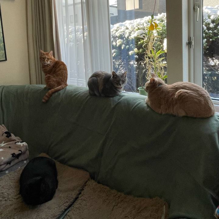 53fc6e9d ac3b 42c6 8a92 dff45b876eae 1699708669711