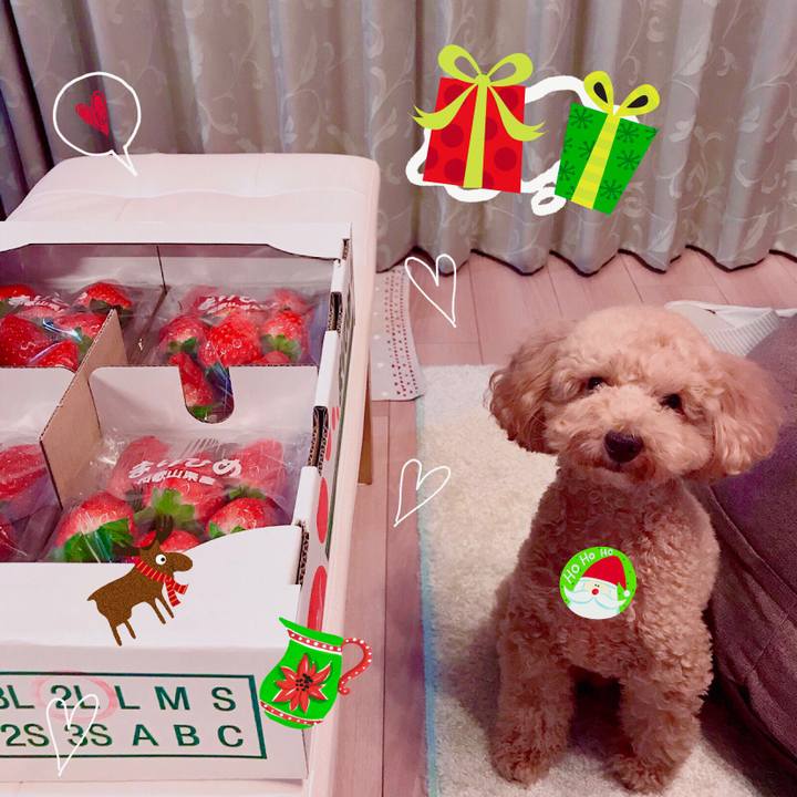 53fca73e d120 4f1e a0e9 574ccef1f7de 1513426807281