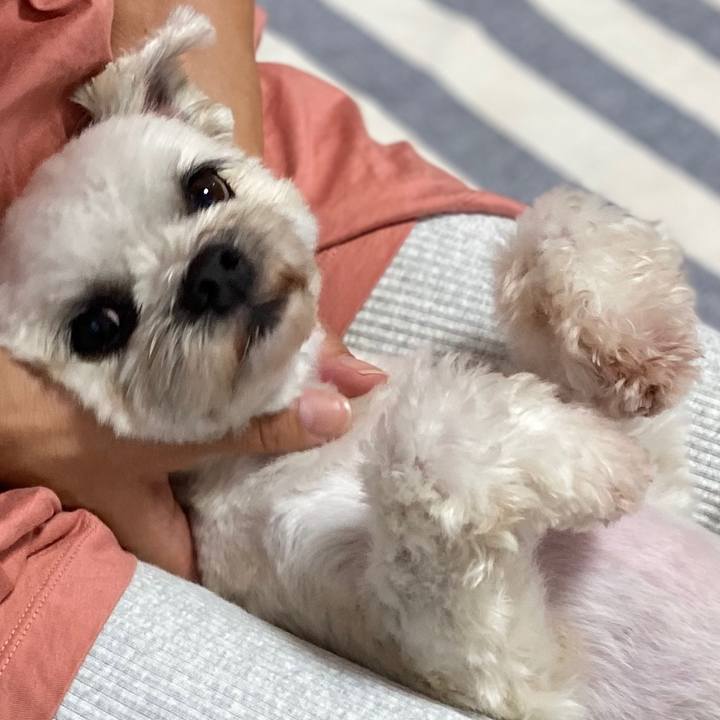 53fcb400 7460 4495 80f3 0704f4ddea89 1595773213007