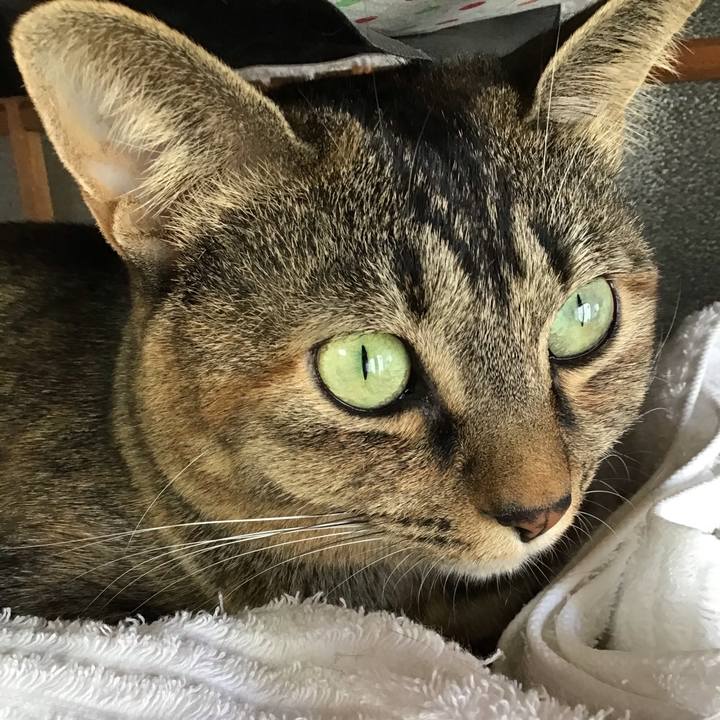 53fcec8f 51a8 4dcf bae4 7c0c97906f31 1635414646086