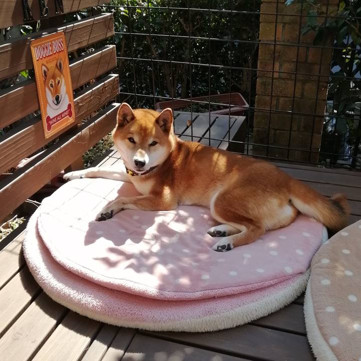 53fd1fbd 87bc 47c6 83bc 3ca35cd82e39 1645933250921