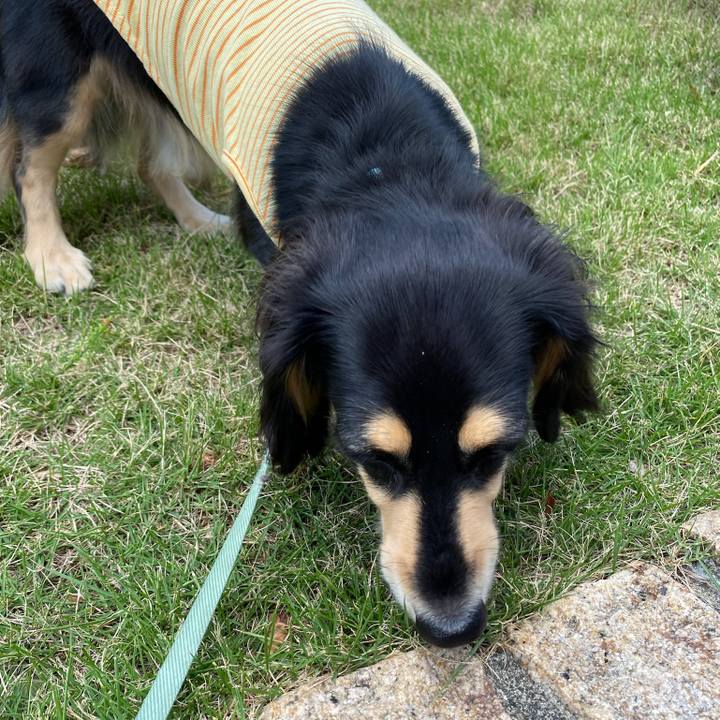 53fd3f28 cbdd 4749 93f1 917ec2761fe3 1695950516358