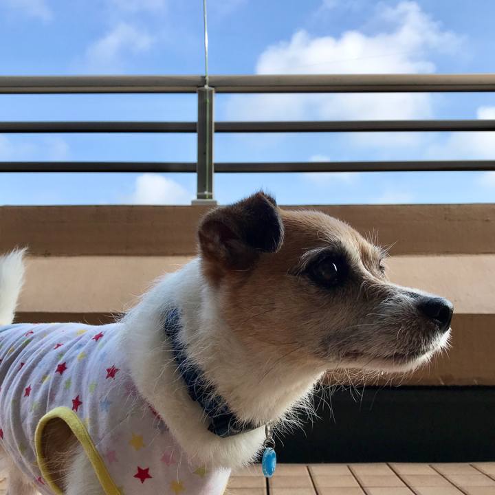 53fd5140 5579 4896 af1a ca0d04369b27 1596668406704