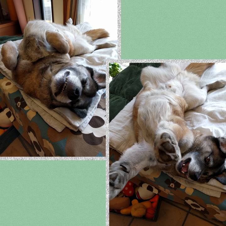 53fd567b 678f 4b6c a708 8d5b10afb8e0 1720741898677