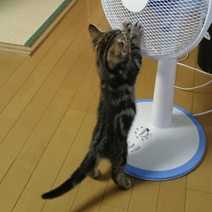 53fd797e 2c37 4484 908a 6d6dd97141e8 1670468888805