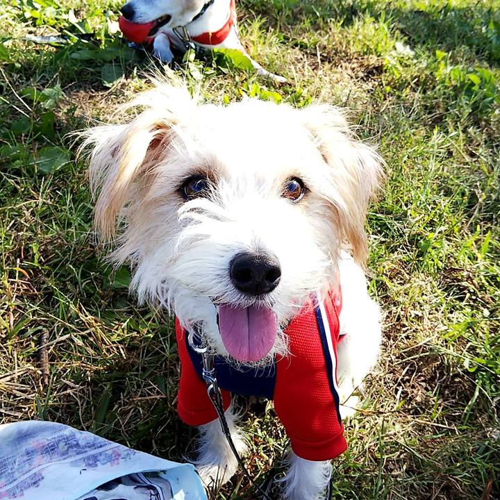 53fd9879 a2f7 4084 b9ac 052716cb8236 1541848134210