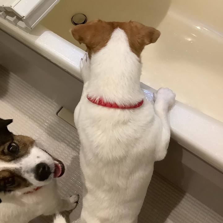 53fdabac 7f62 4092 9b1d a210bdacd76e 1565134325986