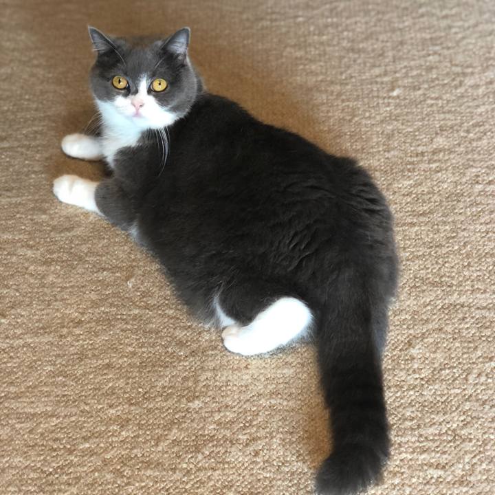 53fde111 bdca 4014 8afc 628eec1afc59 1592305301670