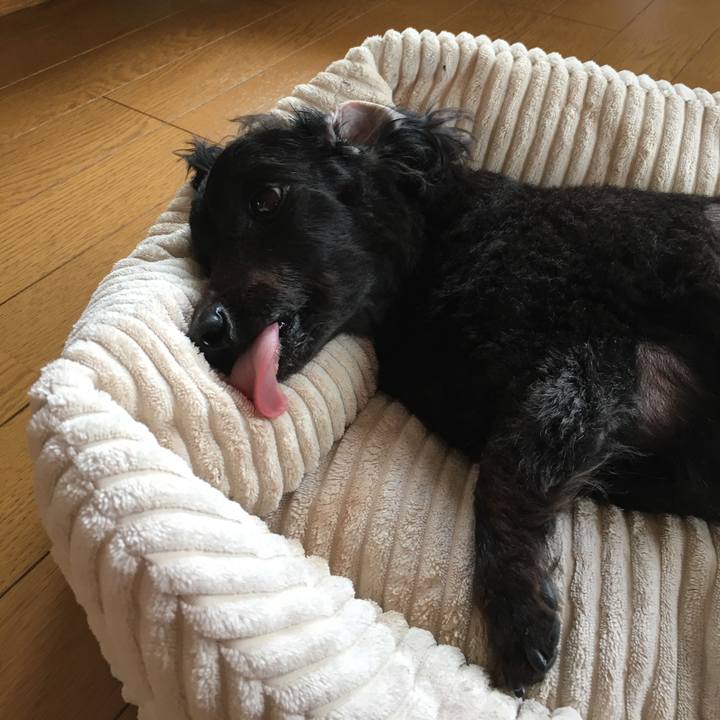 53fde96c 818c 49d6 8325 eaaa12d27d2e 1537481649435