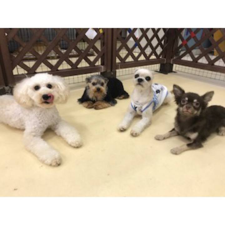 53fdea2c 782d 4037 8343 02dcdde4cae2 1531480012181