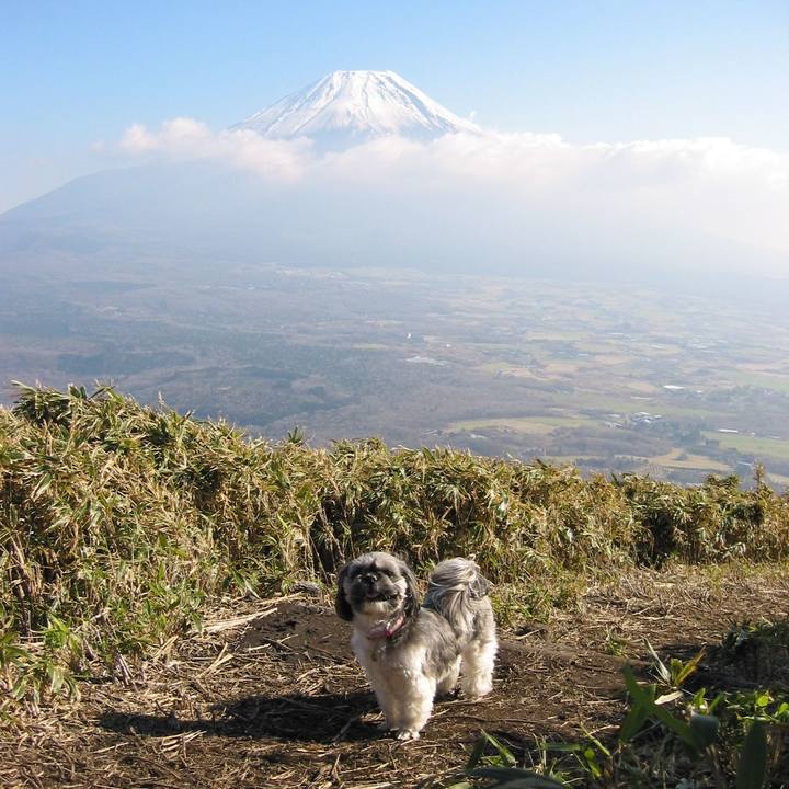 53fe7bc1 7b38 480c 9885 b3ad0bc19eda 1630663372278