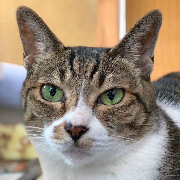 53febfcc e9dd 402a b848 2ecb3444cf09 1564359948342